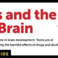 Drugs And The Teen Brain  Scholastic Nida