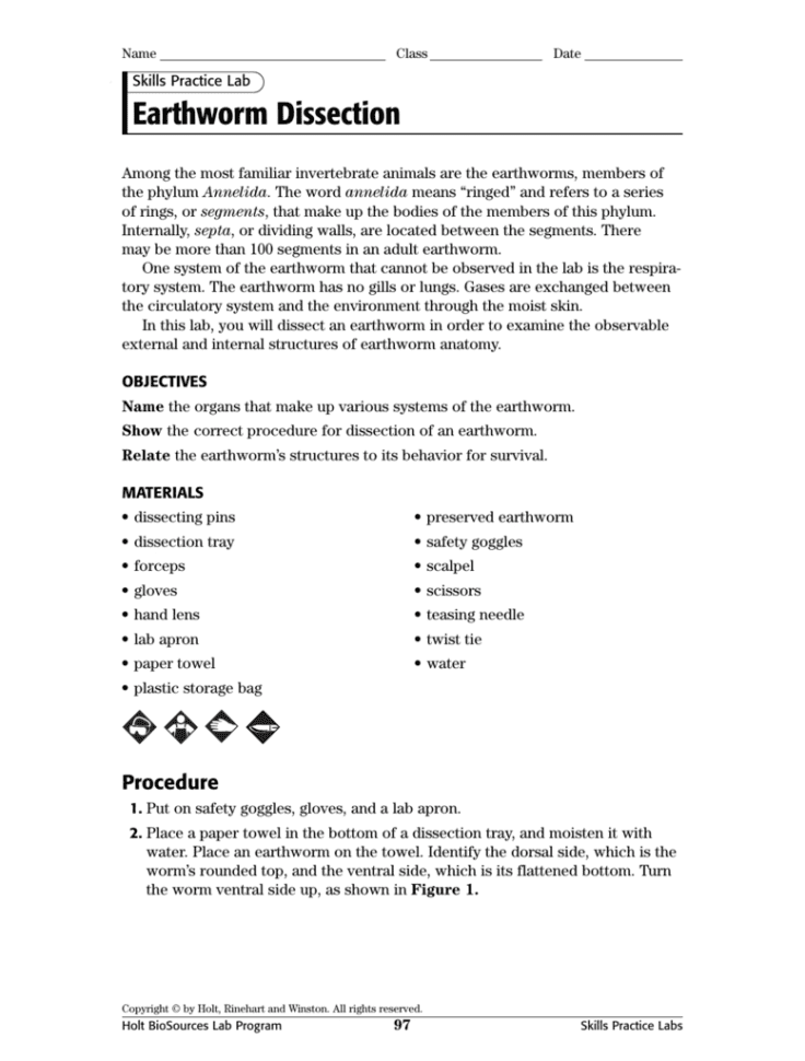 Earthworm Dissection