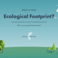 Ecological Footprint Calculator