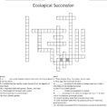 Ecological Succession Crossword  Word