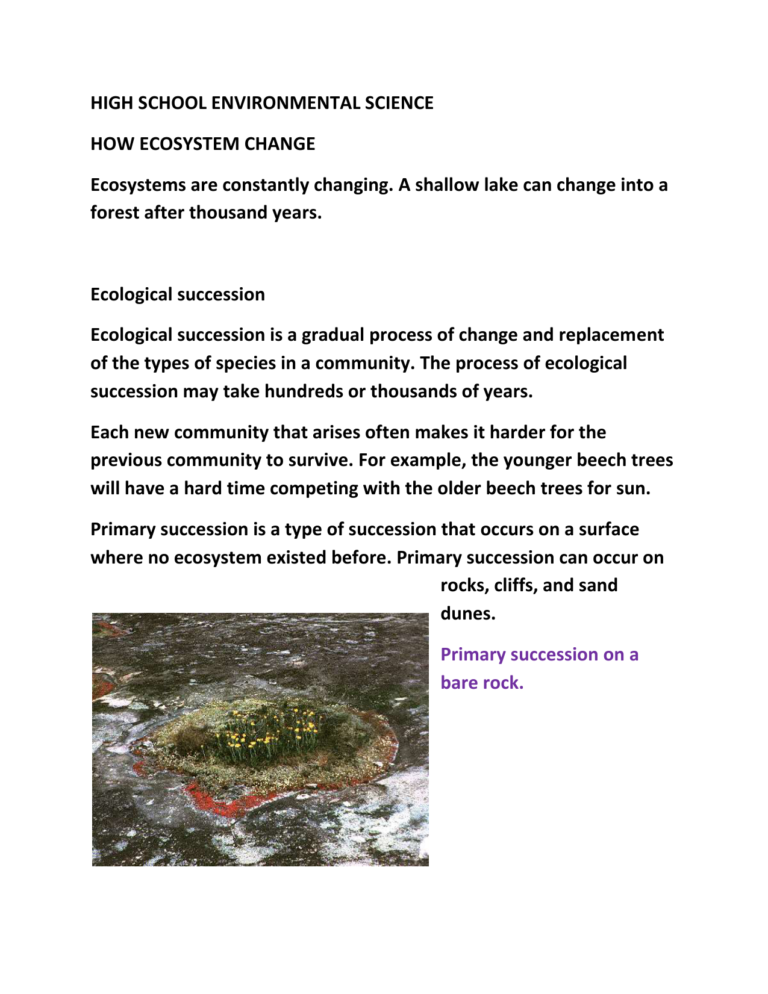 Ecological succession significance picture