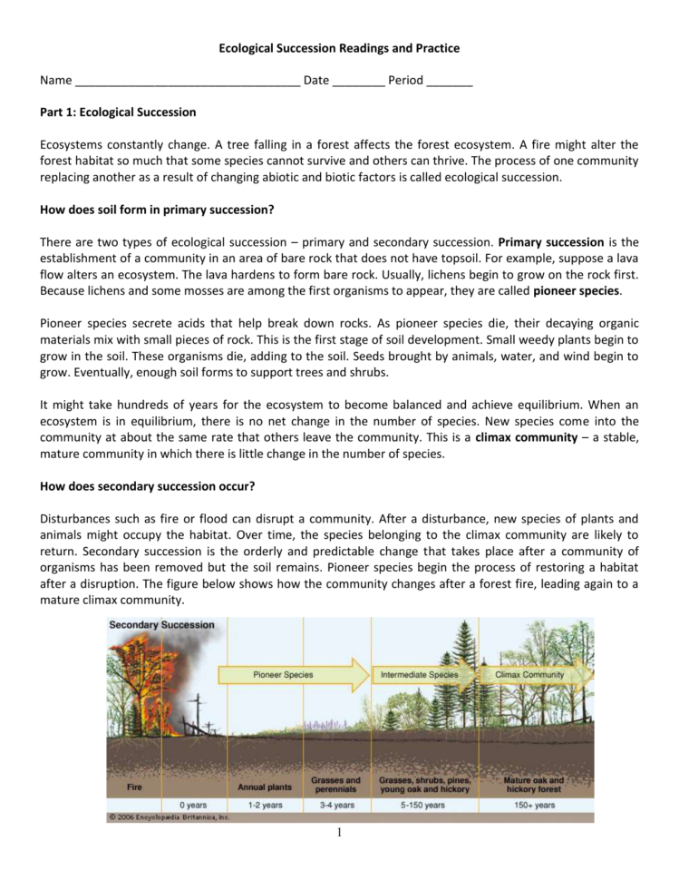 Ecological Succession Worksheet