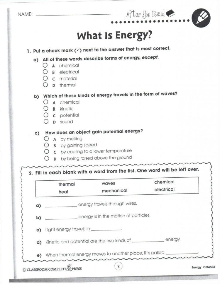 Ecological Succession Worksheet Answer Key Db excel