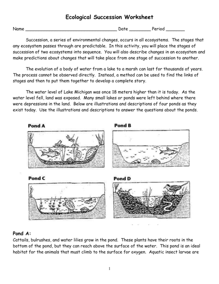 ecological-succession-worksheet-answer-key-db-excel