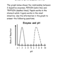 Effect Of Ph On Enzyme Worksheet