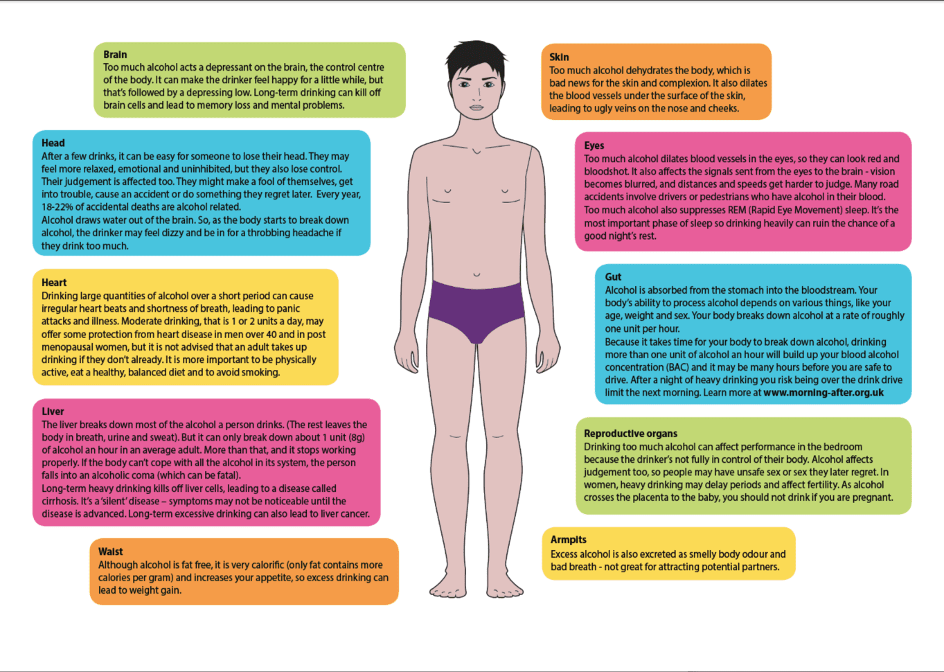 Alcohol skin. Alcohol Worksheets. Alcohol and the Adult Brain. Alcohol in the body.