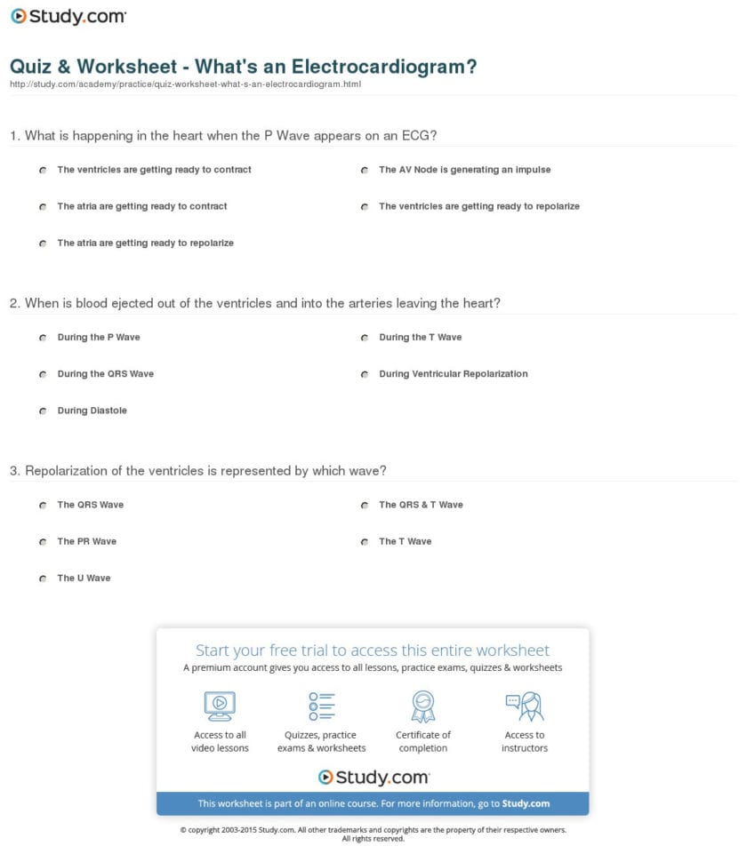 Ekg Worksheets For Students  Inspiracao Kids Activities