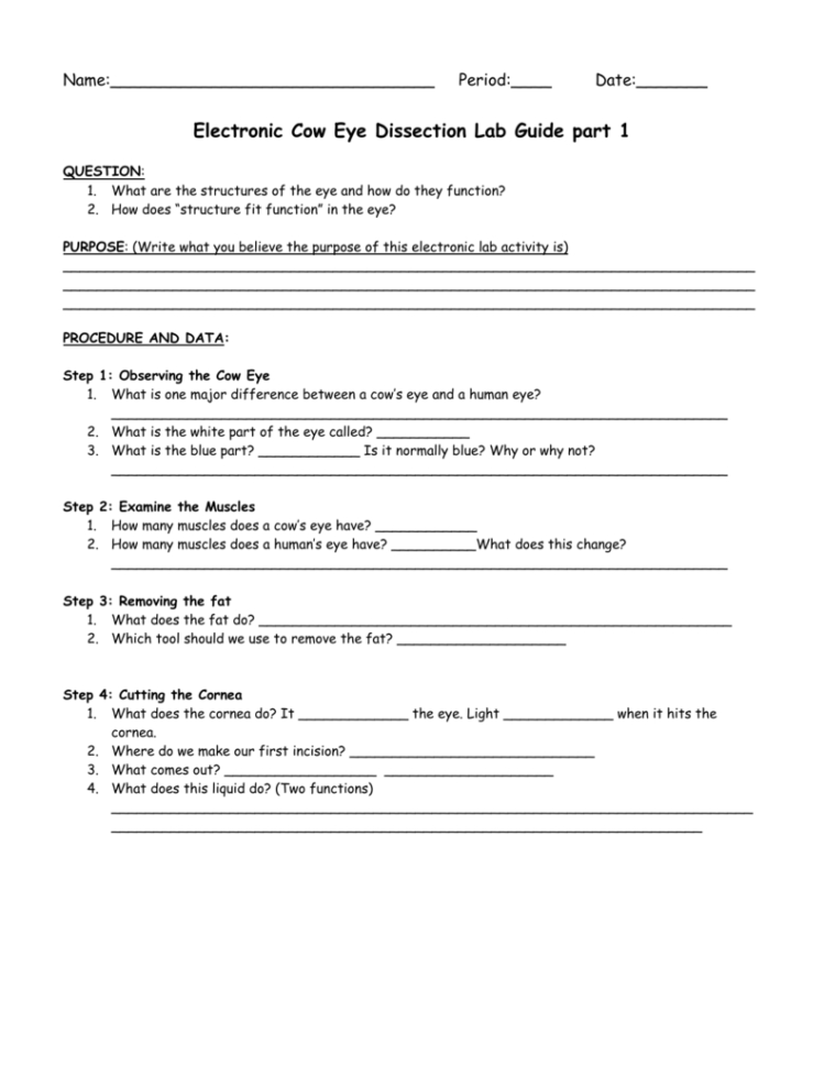 Electronic Cow Eye Dissection Lab Guide Part 1