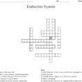 Endocrine System Crossword  Word