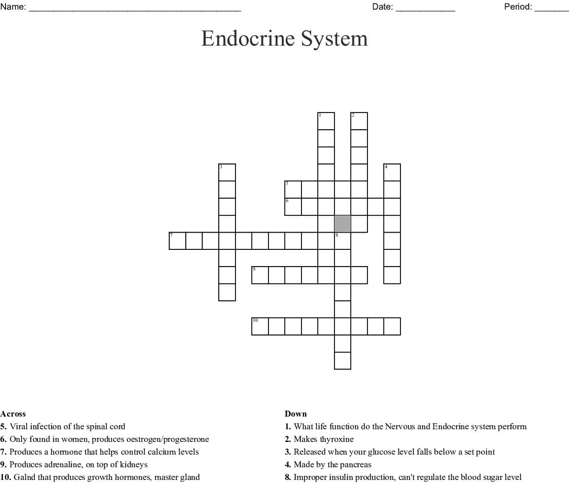 endocrine-system-worksheet-db-excel