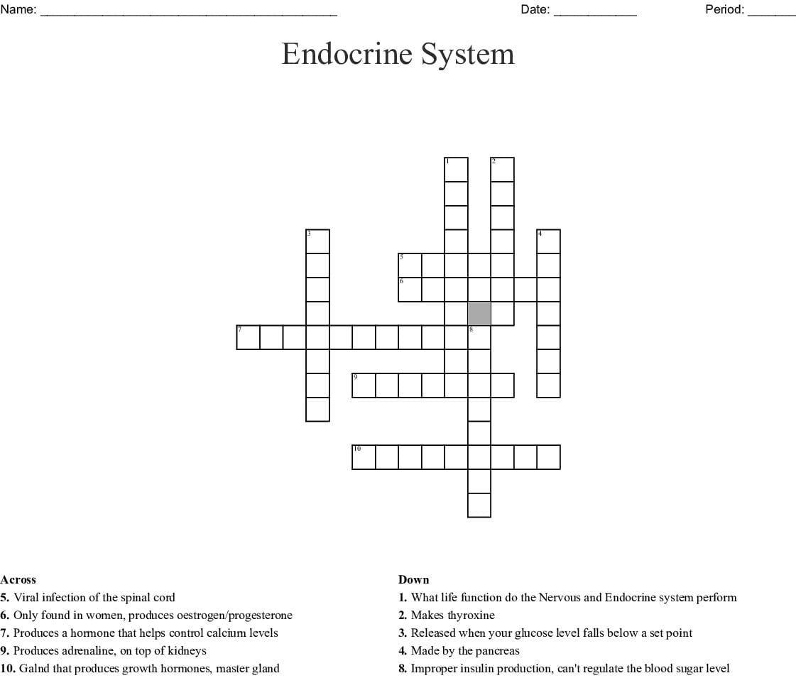 Endocrine System Worksheet Db excel