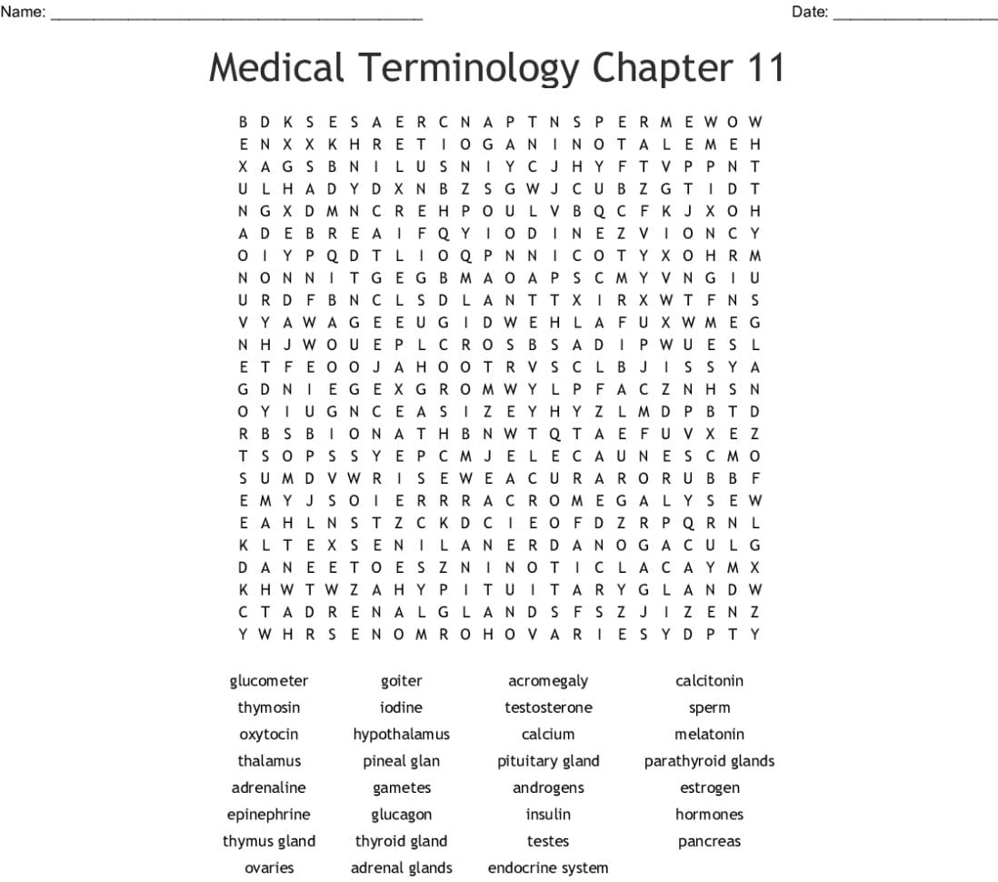 Endocrine System Worksheet Word Search Word — db-excel.com