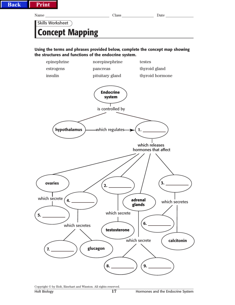 Endocrineconceptmap