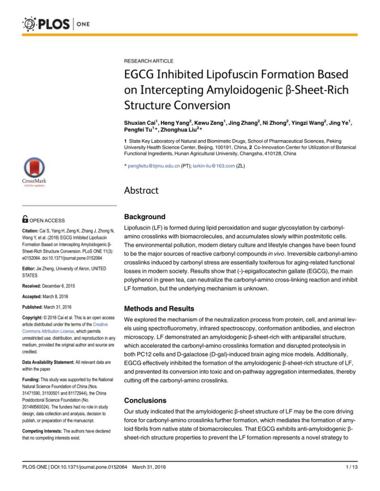 Enemy Pie Printable Worksheet