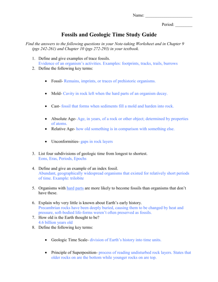 Energy And Ves Review Sheetstudy Guide