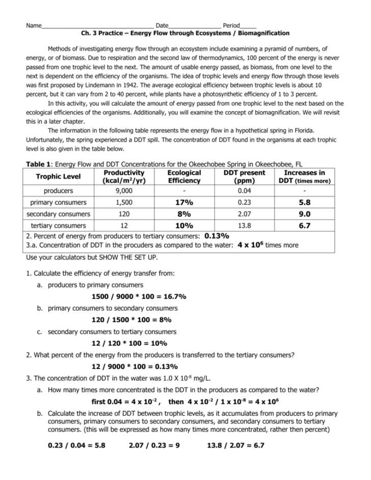 Energy Flow Worksheet Answers — db-excel.com
