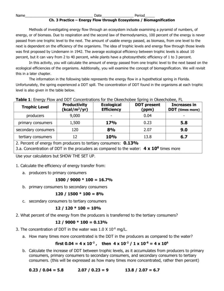 Energy Flow Calc Worksheet From Ecology Wb Answers