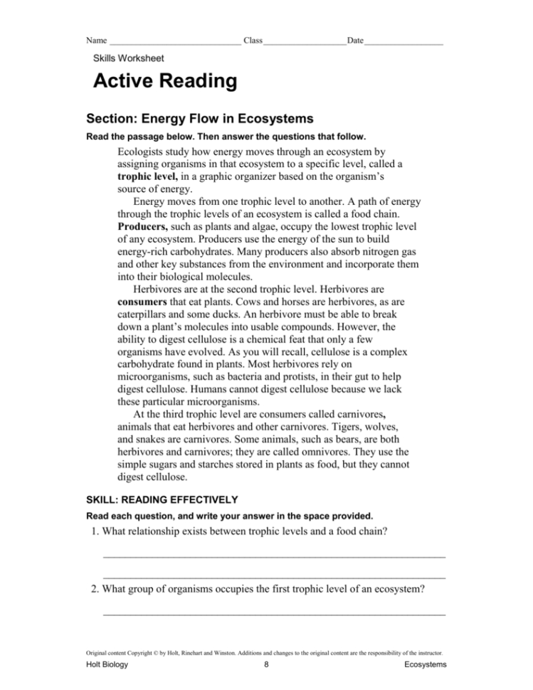Energy Flow In Ecosystems