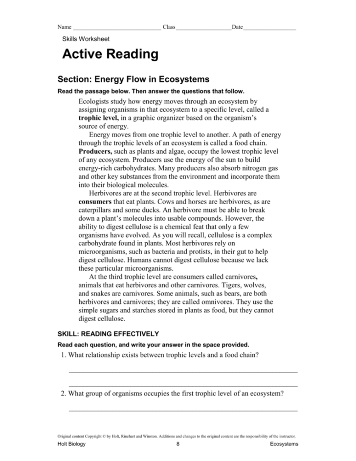 Energy Flow Worksheet Answers