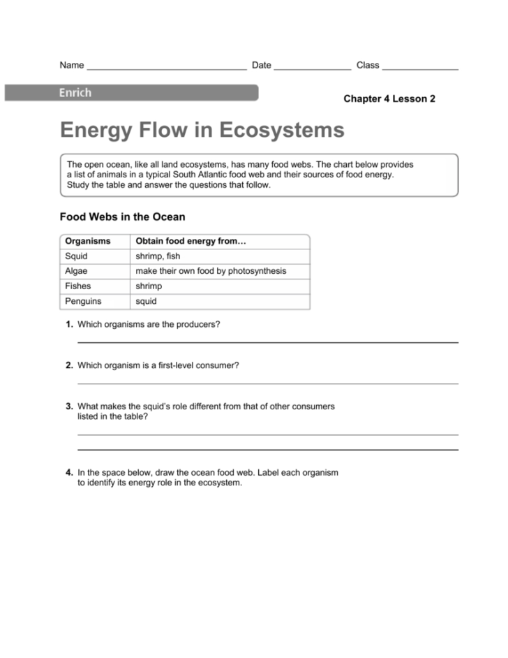 Energy Flow In Ecosystems Worksheet