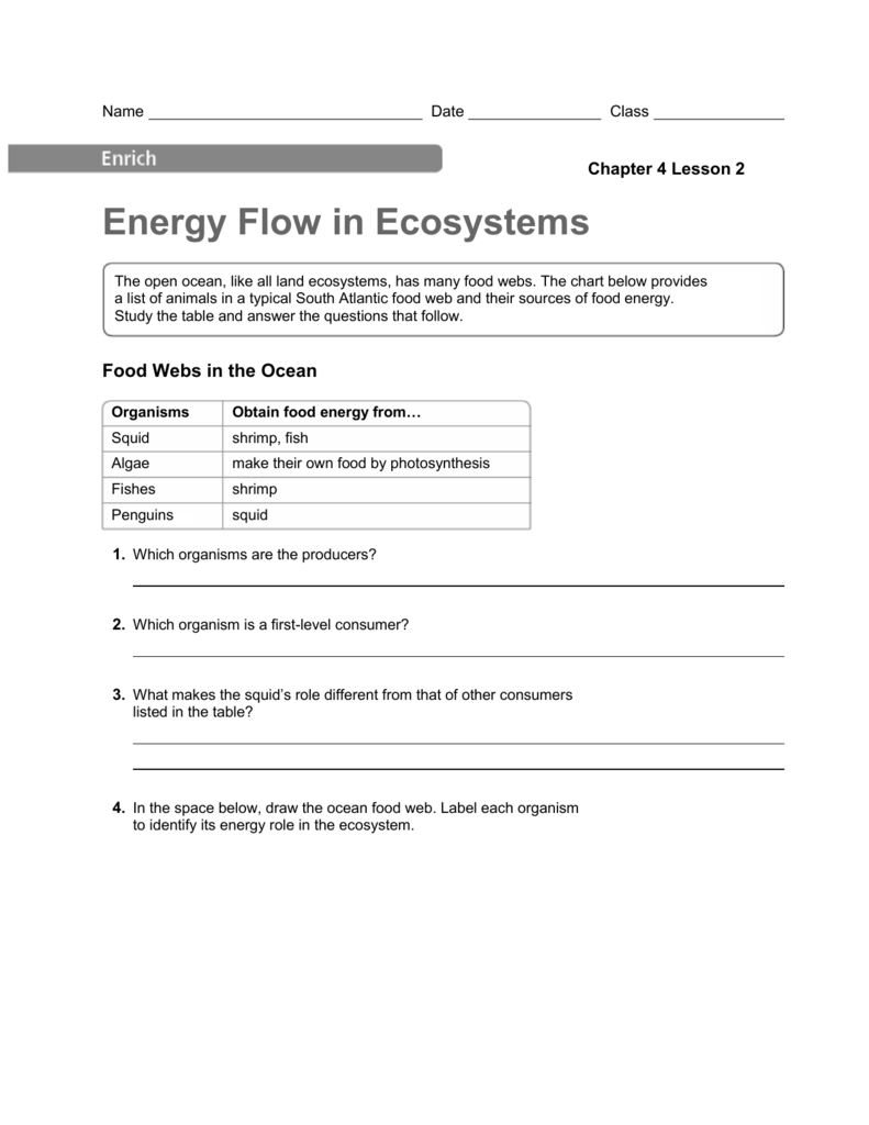 Energy Flow In Ecosystems Answers  Consumers Energy  Xcel