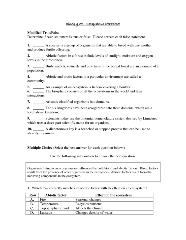 Energy Flow In Living Things Worksheet