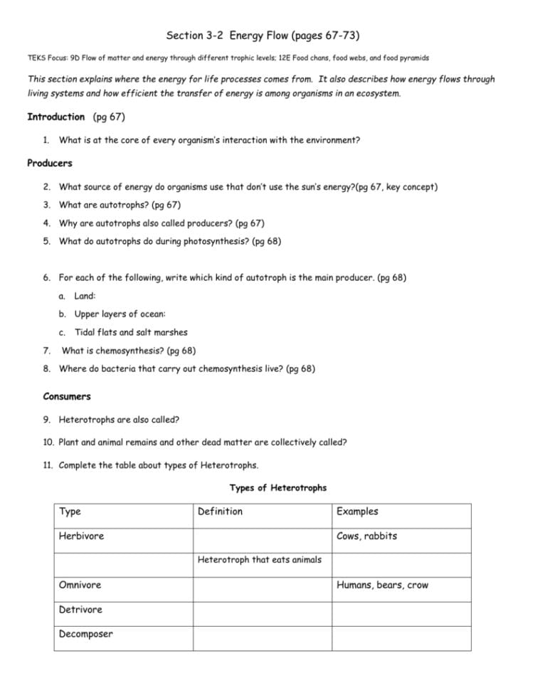 Energy Flow Worksheet — db-excel.com