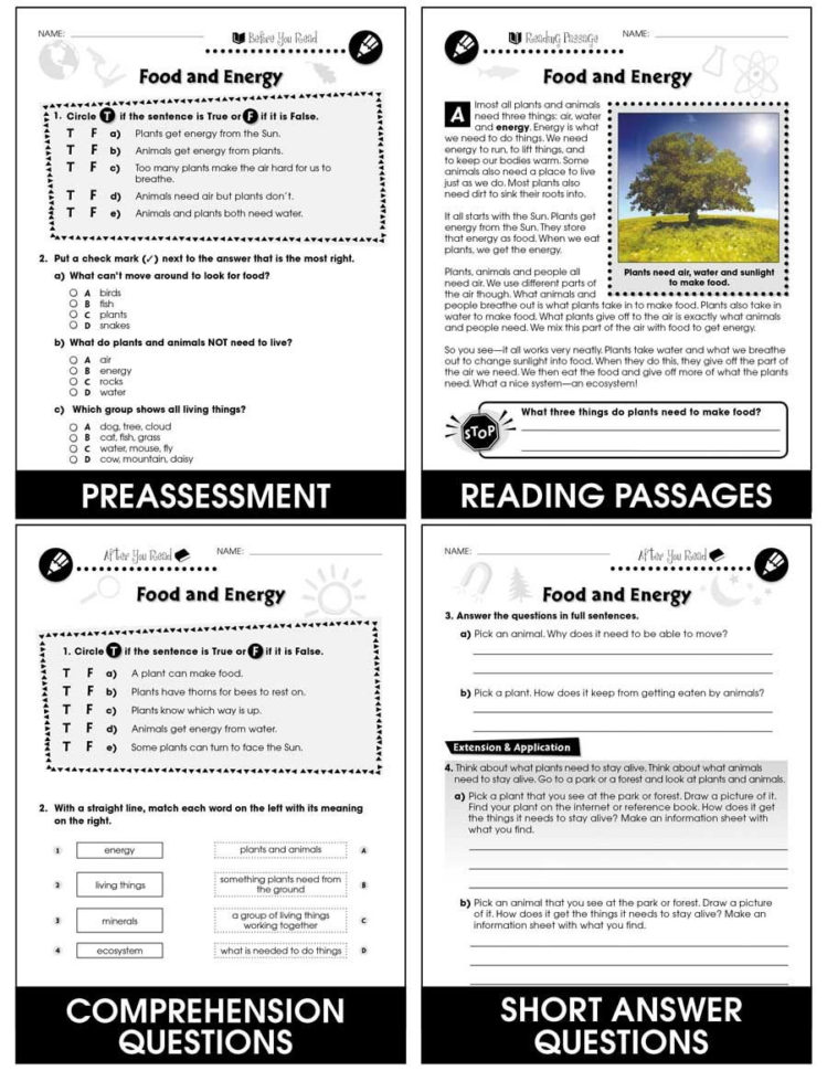 Energy From The Sun Worksheet Answers