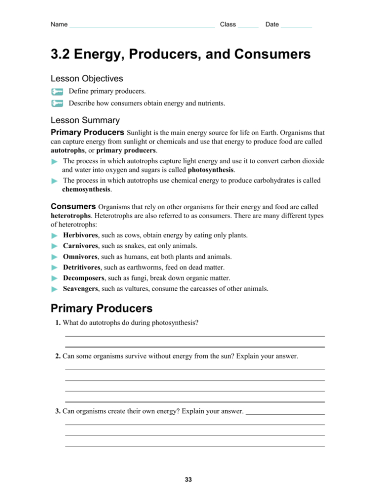 3 2 Energy Producers And Consumers Worksheet Answer Key — db-excel.com
