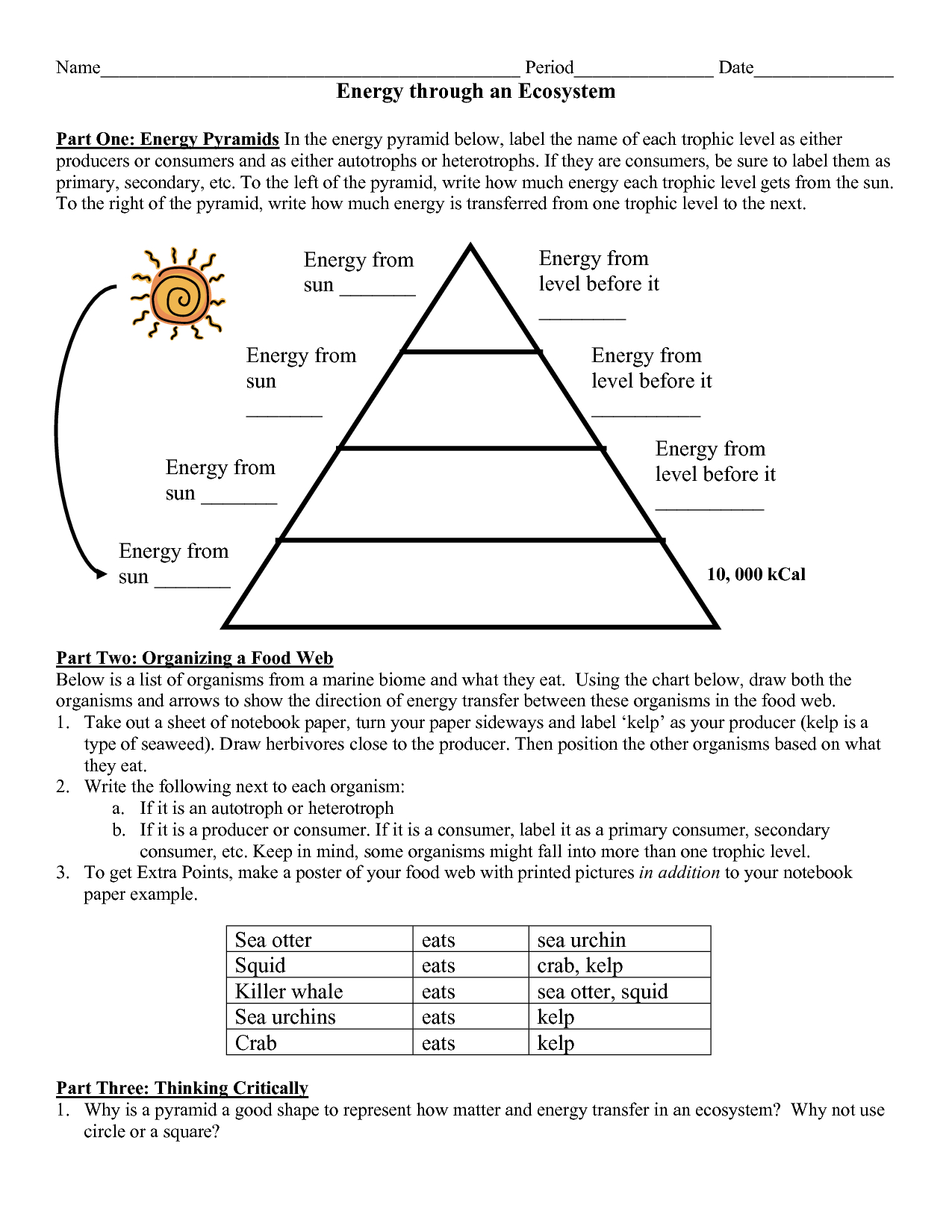 Energy Pyramid Worksheets