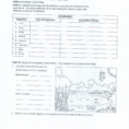 Energy Transfer Food Chains Fo Food Webs And Food Chains Worksheet