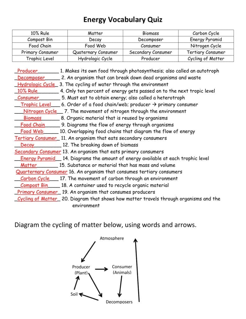 Energy Vocabulary Quiz
