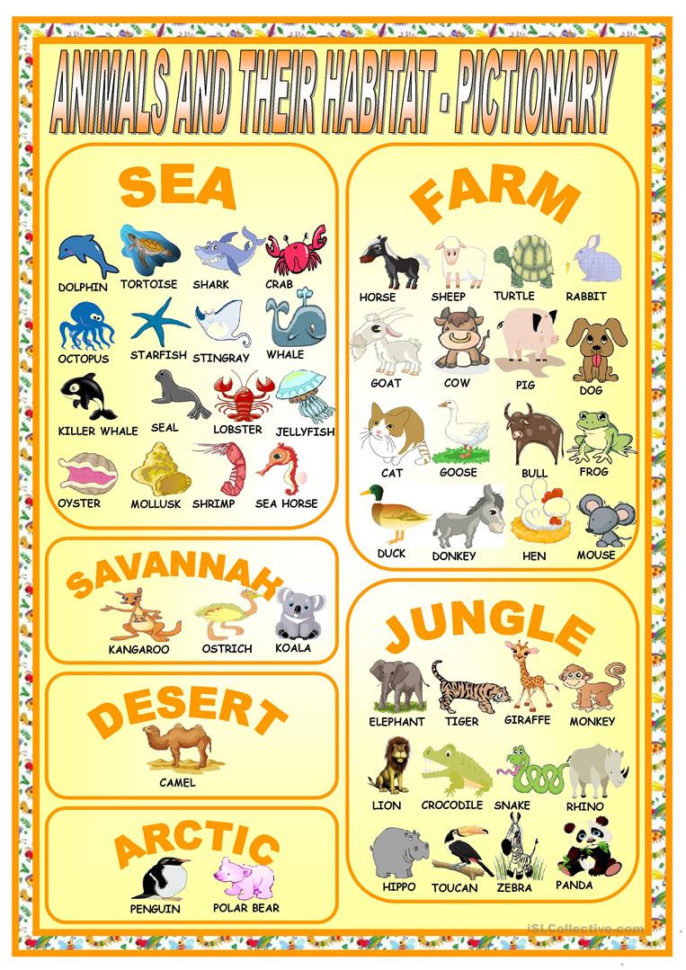 English Esl Habitat Worksheets  Most Downloaded 28 Results