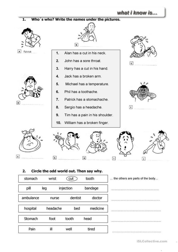 English Esl Health Going To The Doctor Worksheets  Most