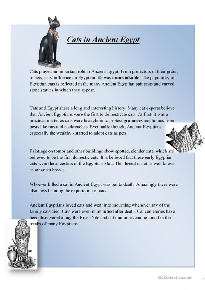 English Esl Social Studies Worksheets  Most Downloaded 13