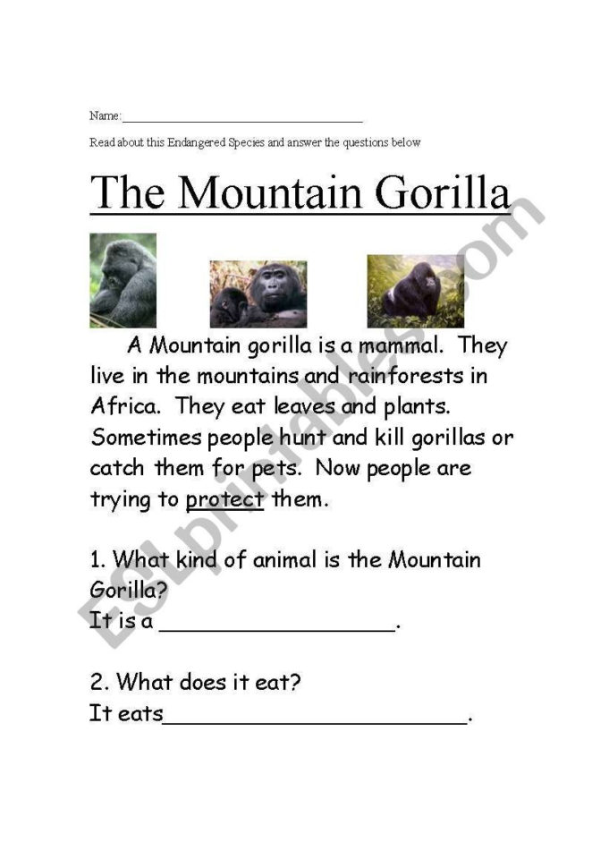 English Worksheets Endangered Species Easy Reading