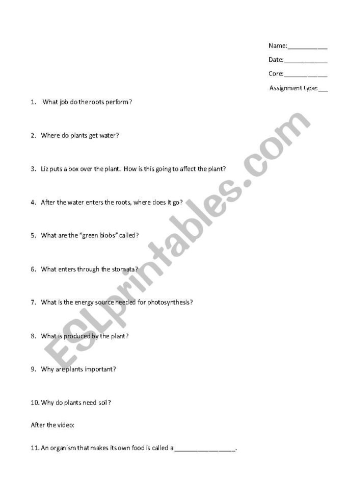 English Worksheets Photosyntheismagic School Bus Gets Planted