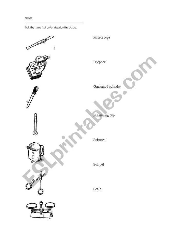 English Worksheets Science Tools