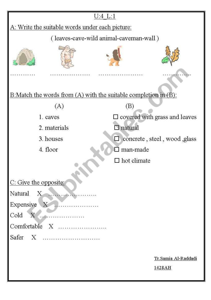 English Worksheets Vocabulary Practice