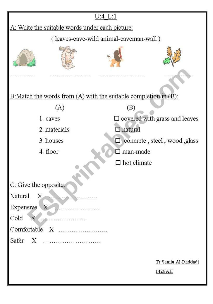 Vocabulary Practice Worksheets