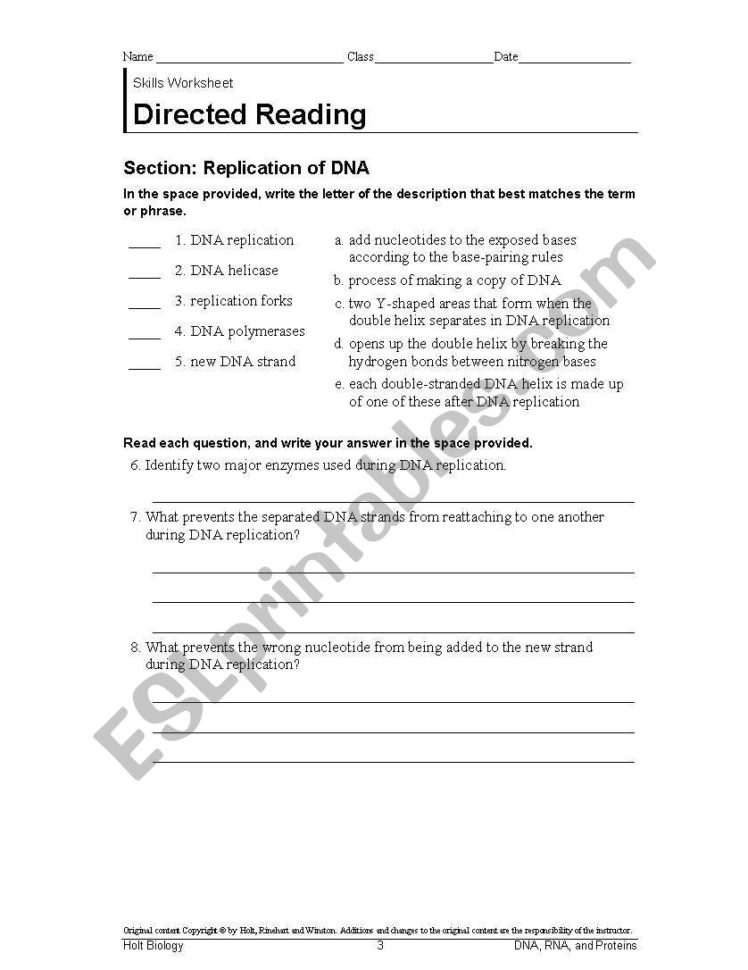 English Worksheets World History