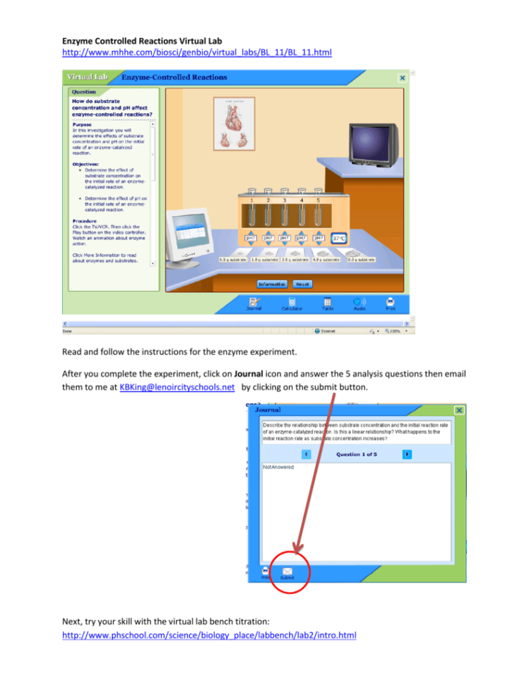 Enzyme Controlled Reactions Virtual Lab
