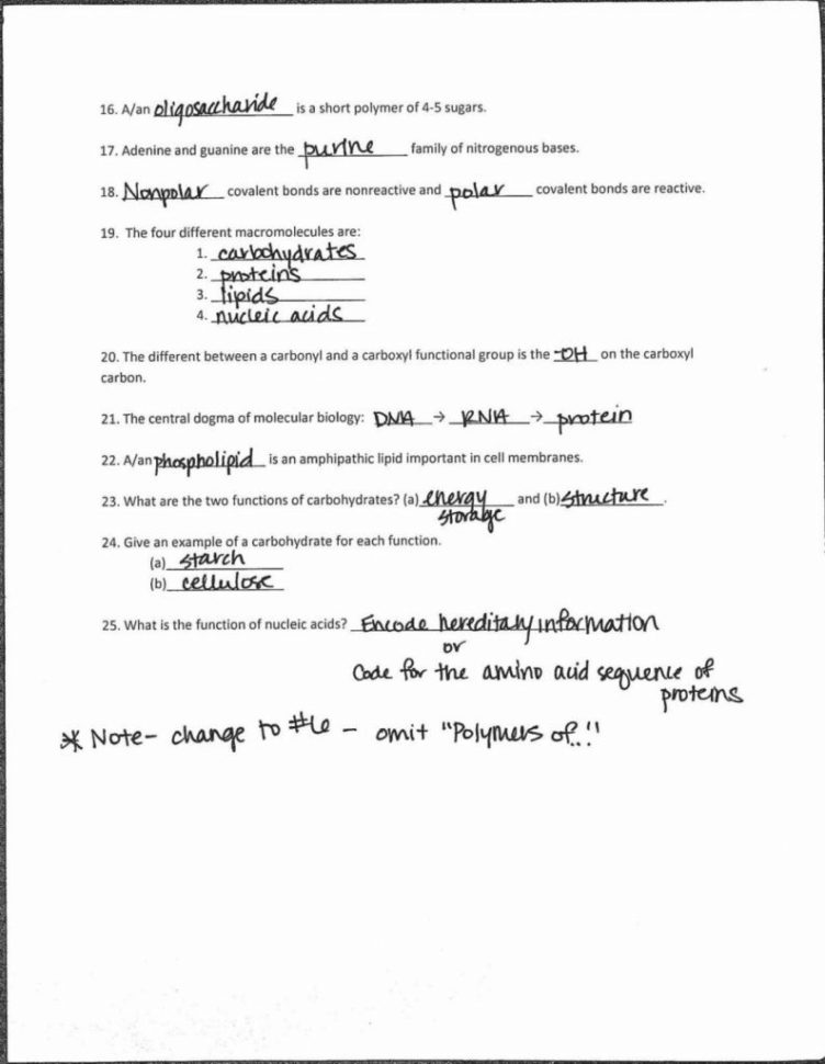 Enzyme Practice Worksheet  Soccerphysicsonline