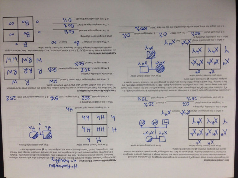 Enzyme Reaction Rates Worksheet — db-excel.com