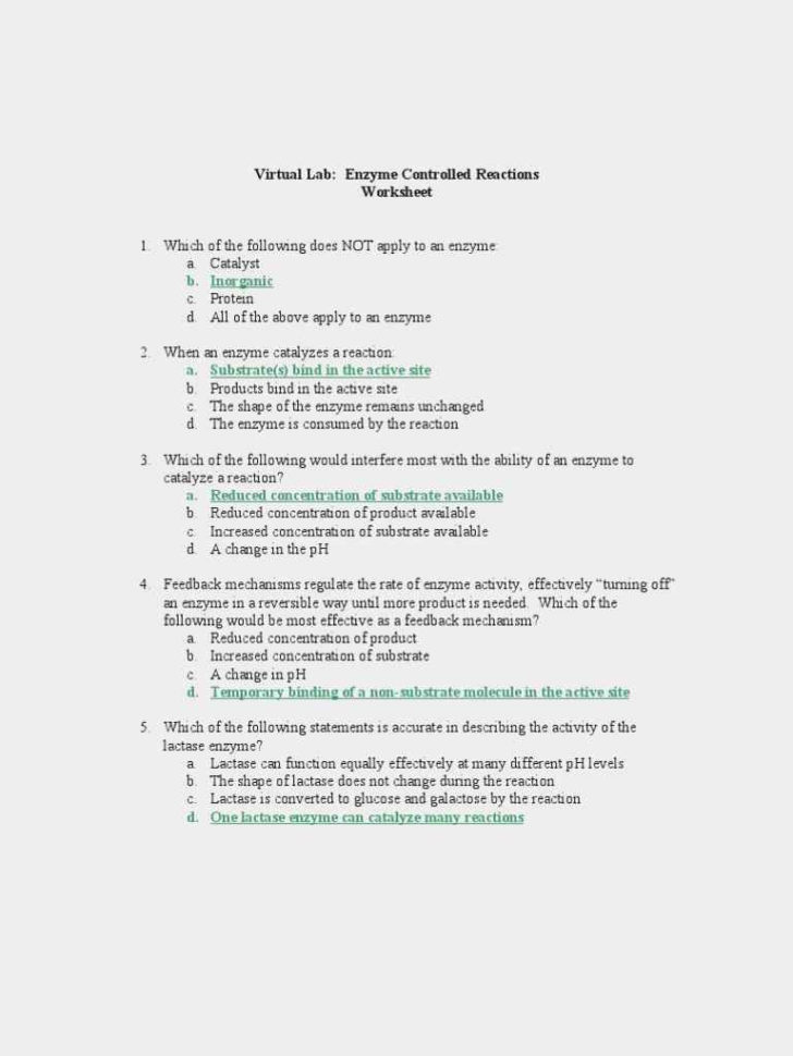Enzyme Virtual Lab Worksheet Answers