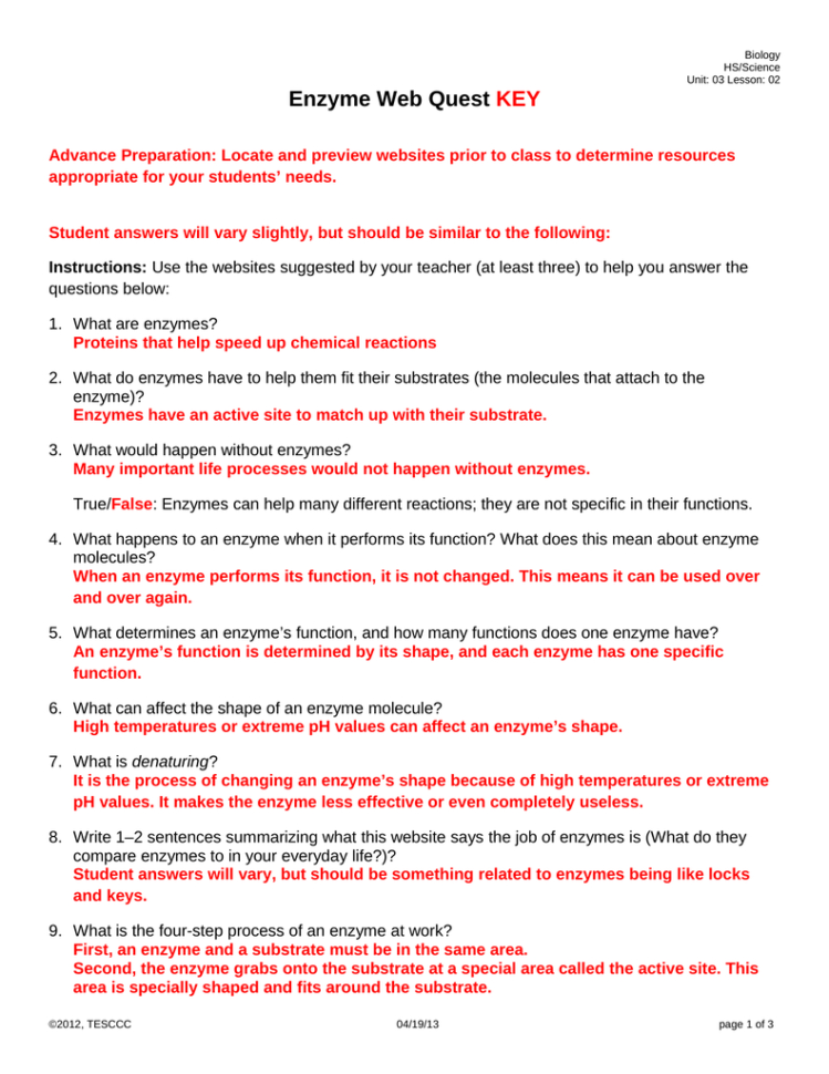 Enzyme Web Quest Key