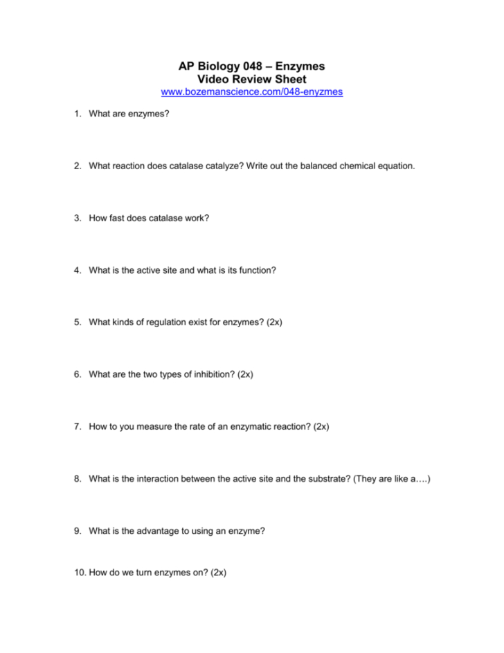 Enzymes Review Worksheet
