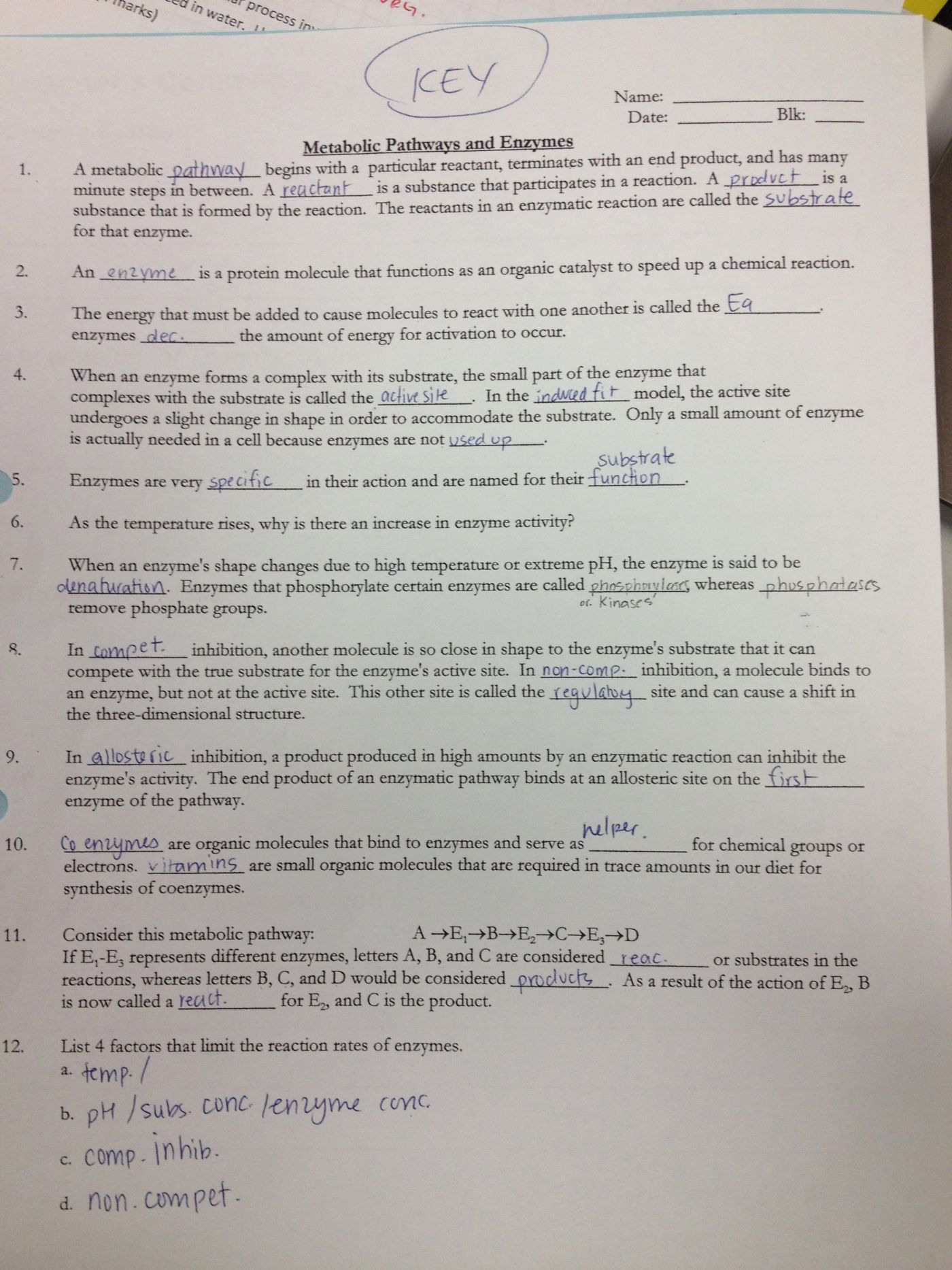 Enzyme Worksheet Answer Key Db excel