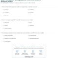 Enzyme Worksheet Biology Printable Math Worksheets