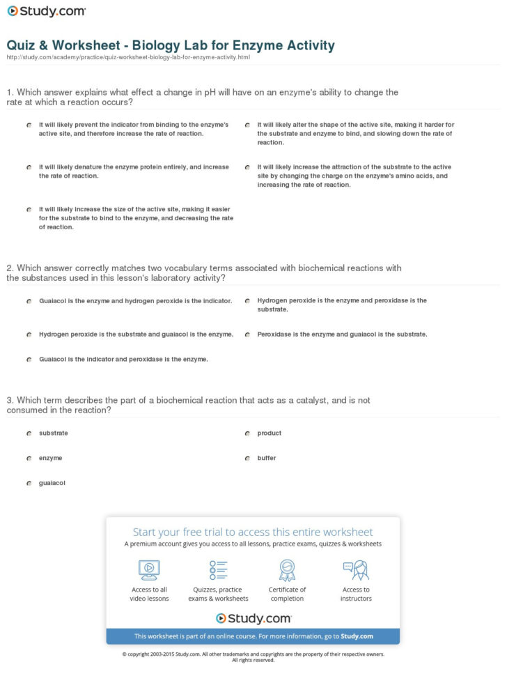 enzyme-worksheet-biology-printable-math-worksheets-db-excel